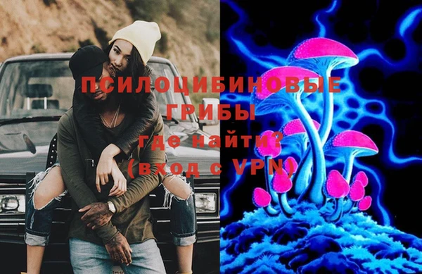 apvp Алексеевка