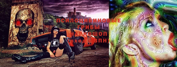 дурь Алзамай