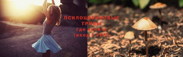 дурь Алзамай
