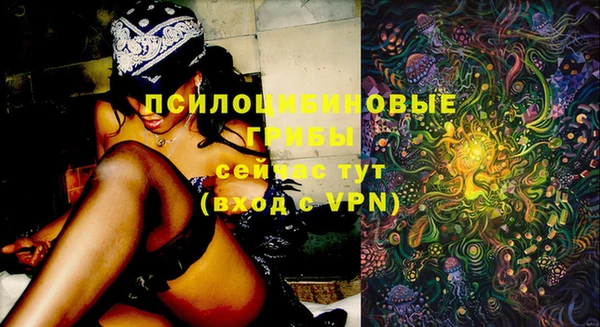 apvp Алексеевка