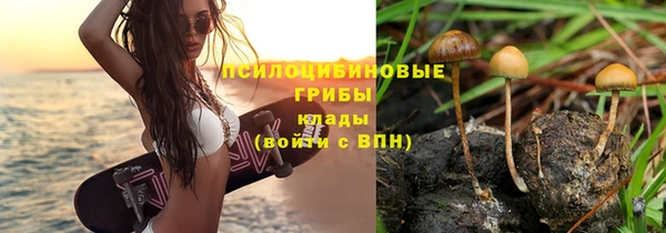 дурь Алзамай