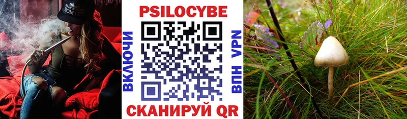 Псилоцибиновые грибы MAGIC MUSHROOMS  наркота  Буй 